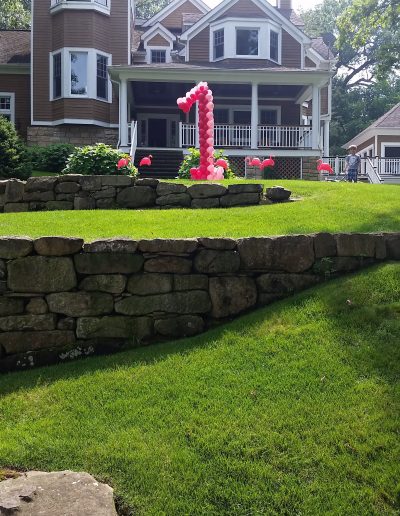Balloon Decoration